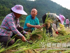 刘长记：让村民每年人均收入增千元的致富经