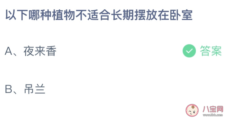 适合室内养的绿植物_适合在室内养的绿植_室内养绿植适合种什么花