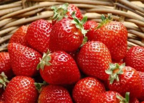草莓农药残留超标_草莓农药残留中毒症状_农药草莓吃了怎么解毒