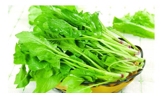 2018农药残留最少十种蔬菜_农药残留最厉害的5种蔬菜_蔬菜农药残留排行榜