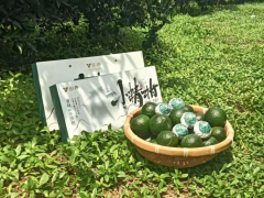 【安化黄精】引养·小精柑——新会陈皮青柑+安化多花黄精=中药茶饮新形态