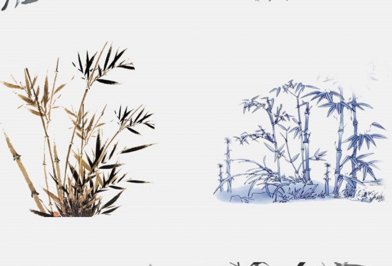 适合北方种植的果树_果树北方种植适合什么季节_果树北方种植适合什么土壤
