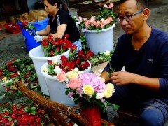 5类花已进“黑名单”，越养越“不吉利”，见到了尽量不要买