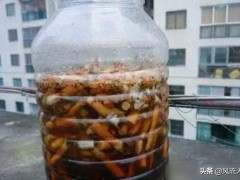 种植甘蓝、白菜长虫多，试试这三个方法吧，防治一体，效果可好了
