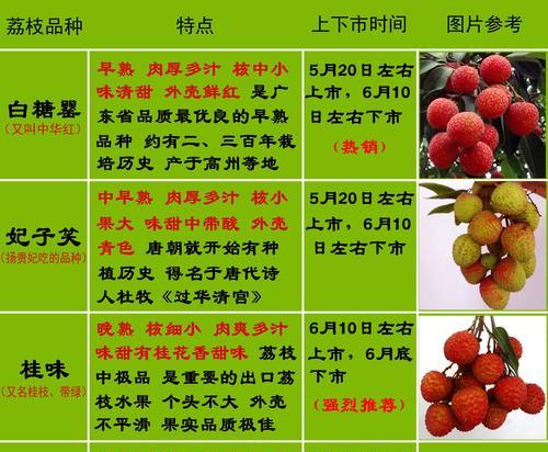 荔枝种植条件和区域_种植荔枝的自然条件_荔枝种植气候条件