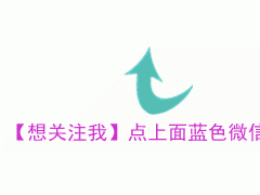 家庭里，养这4种“植物”很合适，能“吸甲醛”，让家人更健康！